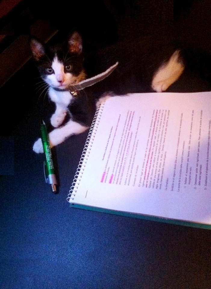 Foto de Alajuela, Costa Rica