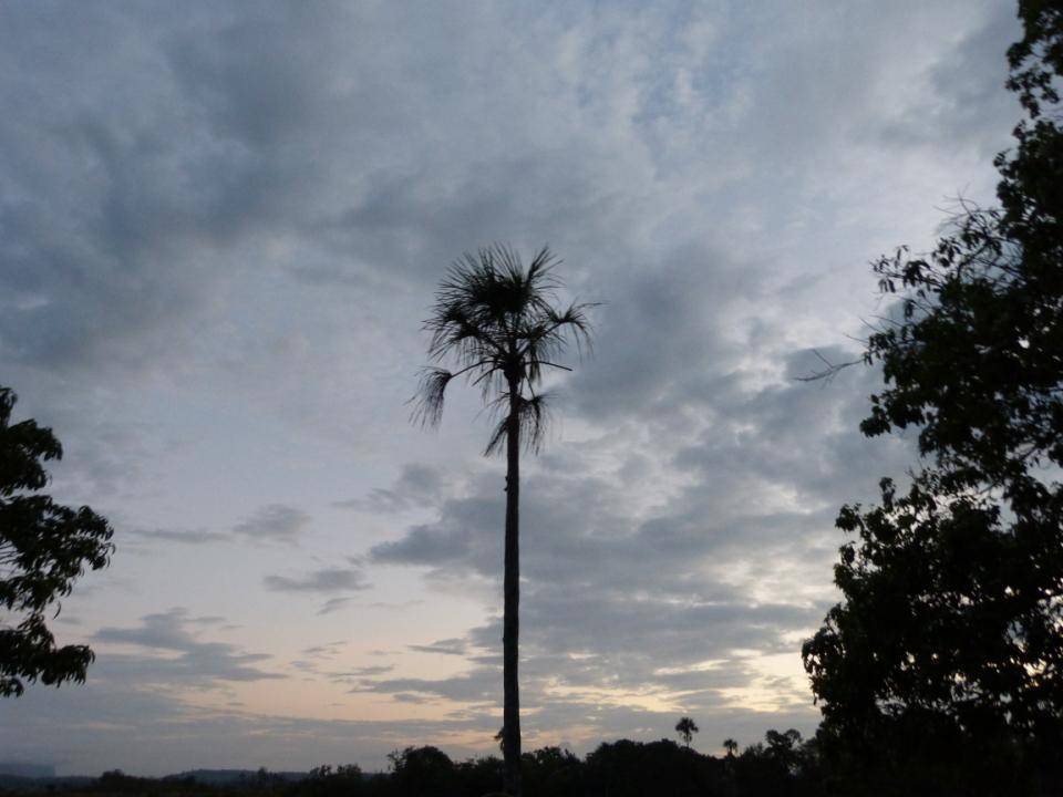 Foto: Un lugar de Bellezas Naturales - Canaima, Venezuela