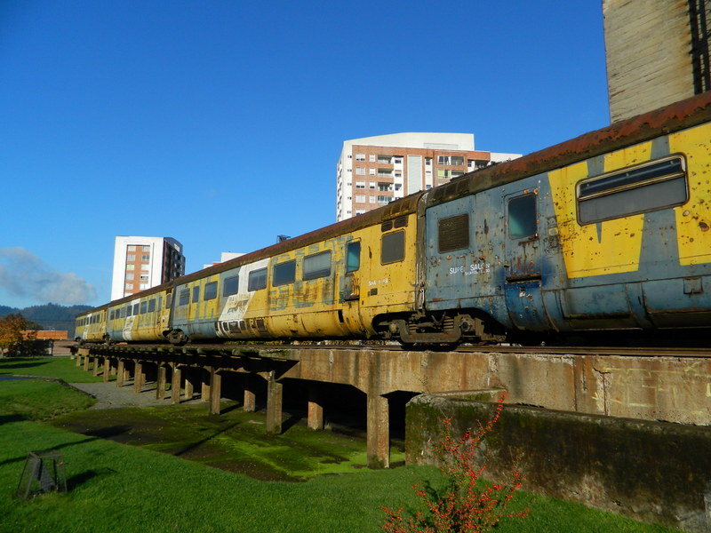 Foto: Temuco - Temuco (Araucanía), Chile