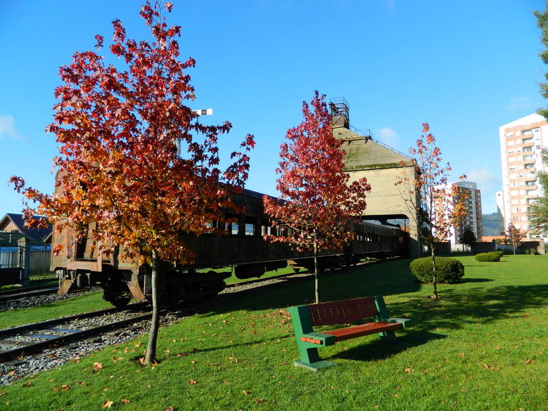Foto: Temuco - Temuco (Araucanía), Chile