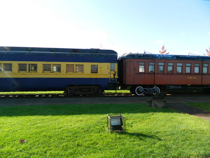 Foto: Temuco - Temuco (Araucanía), Chile