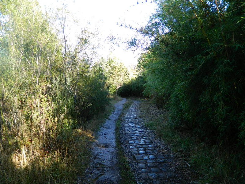Foto: Temuco - Temuco (Araucanía), Chile