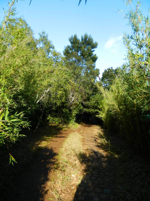 Foto: Temuco - Temuco (Araucanía), Chile