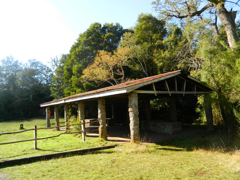 Foto: Temuco - Temuco (Araucanía), Chile