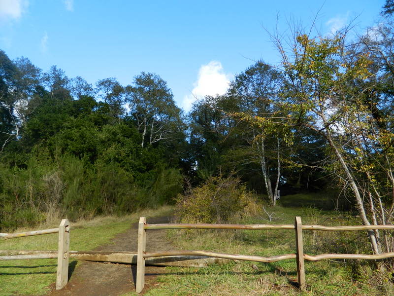 Foto: Temuco - Temuco (Araucanía), Chile