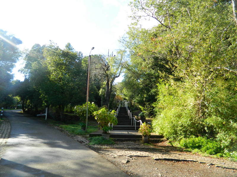 Foto: Temuco - Temuco (Araucanía), Chile