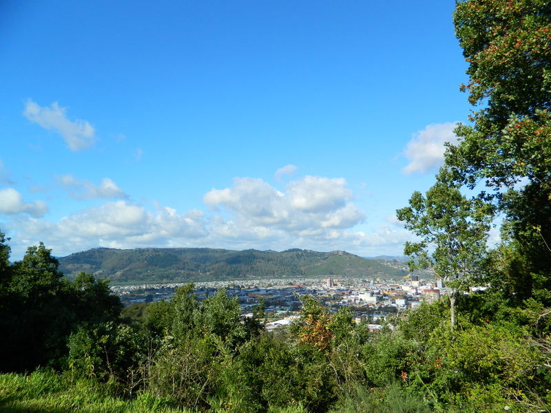 Foto: Temuco - Temuco (Araucanía), Chile