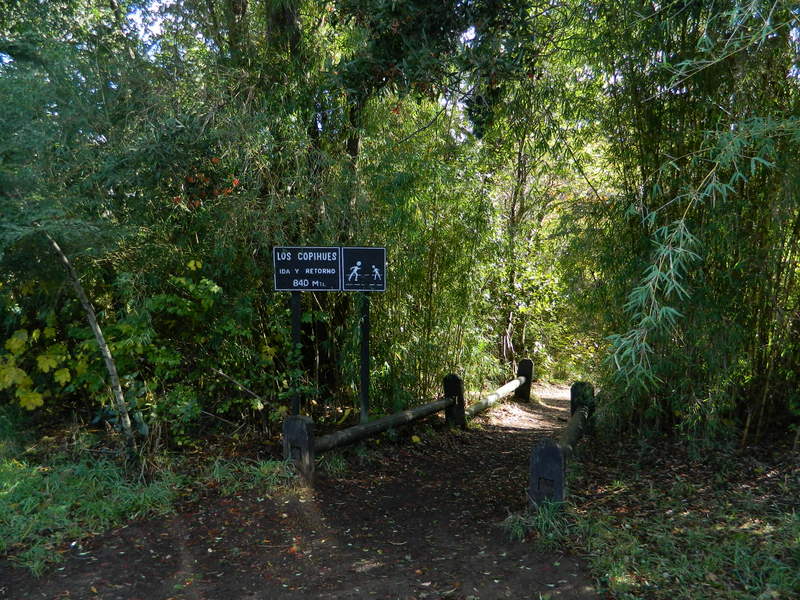 Foto: Temuco - Temuco (Araucanía), Chile