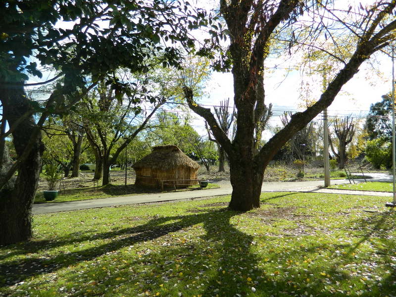Foto: Temuco - Temuco (Araucanía), Chile