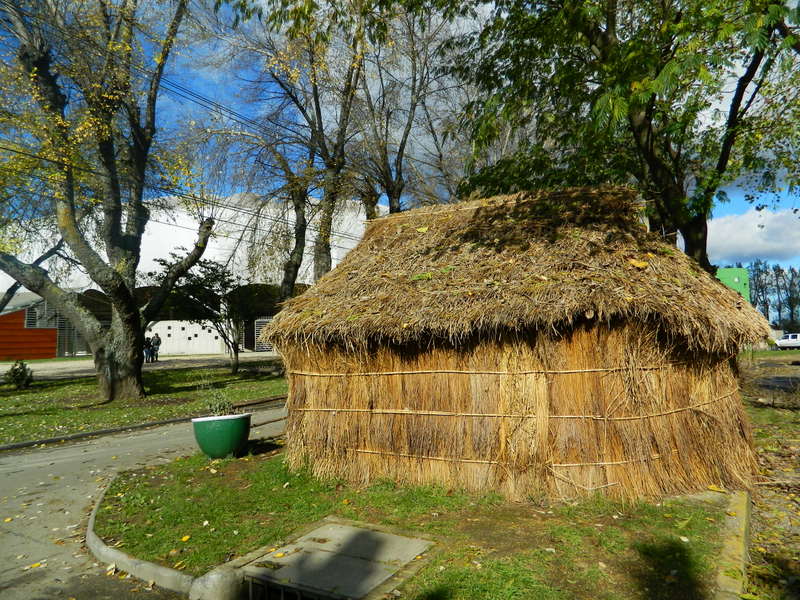 Foto: Temuco - Temuco (Araucanía), Chile