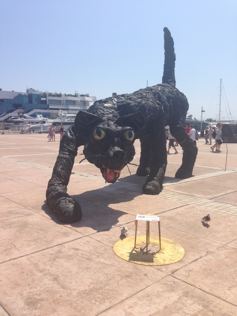 Foto: Cuidado que viene - Cannes, Francia