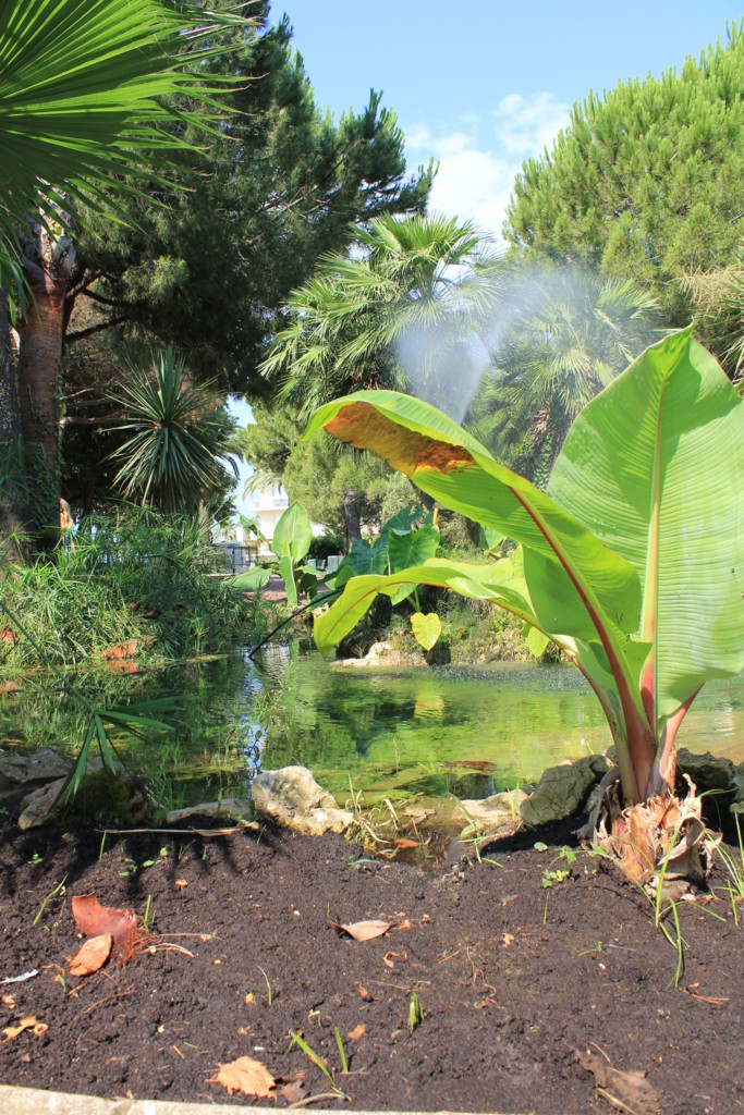 Foto: Parque - Cannes, Francia