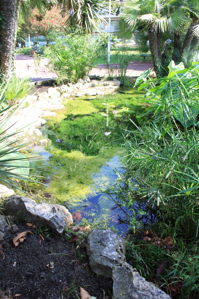 Foto: Parque - Cannes, Francia