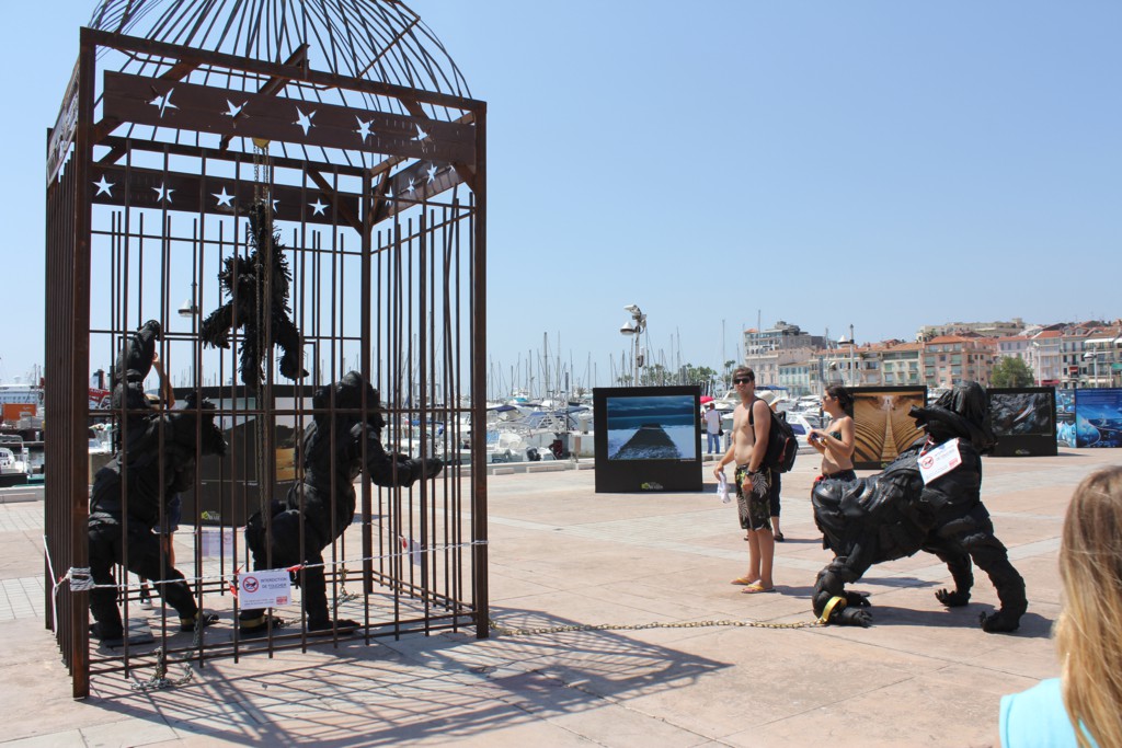 Foto: Fieras - Cannes, Francia