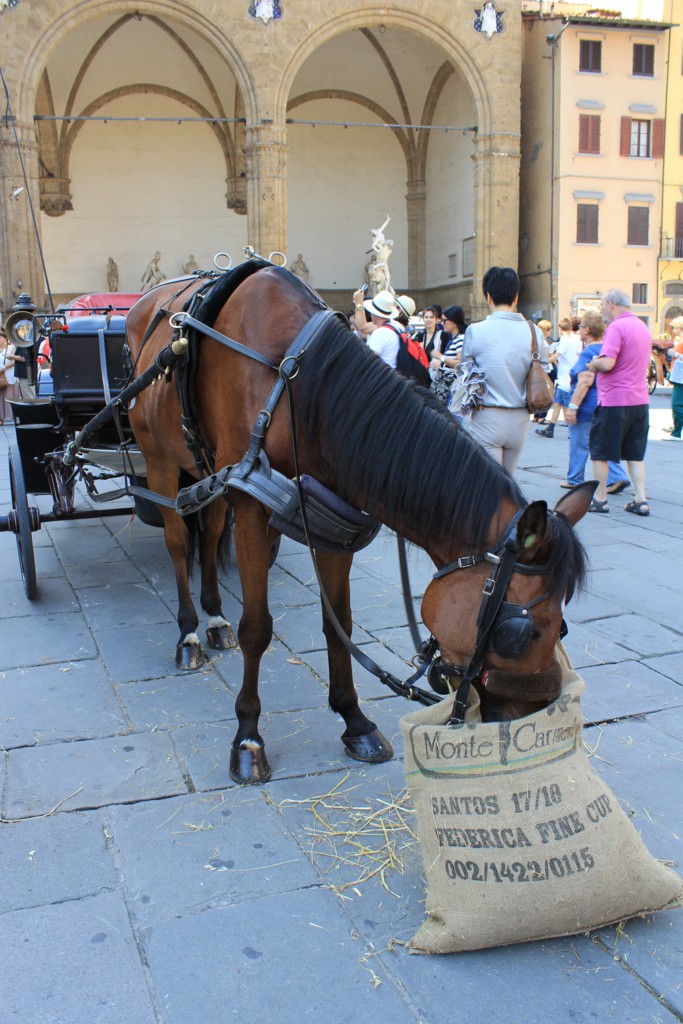 Foto: La Piazza della Signoria - Florencia (Tuscany), Italia