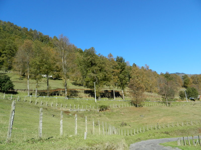 Foto: Pucon - Pucon (Araucanía), Chile