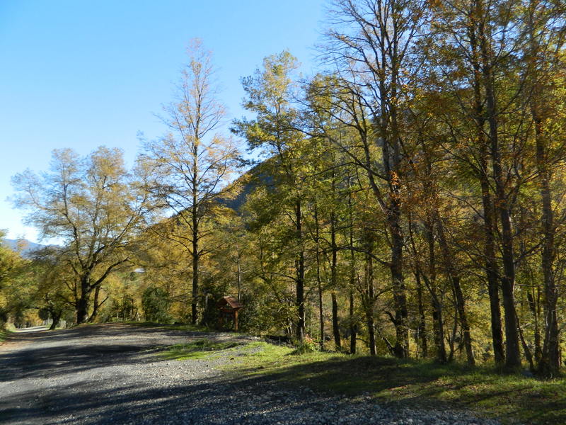 Foto: Pucon - Pucon (Araucanía), Chile