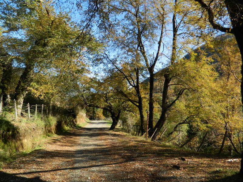 Foto: Pucon - Pucon (Araucanía), Chile