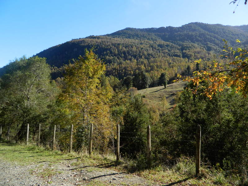 Foto: Pucon - Pucon (Araucanía), Chile