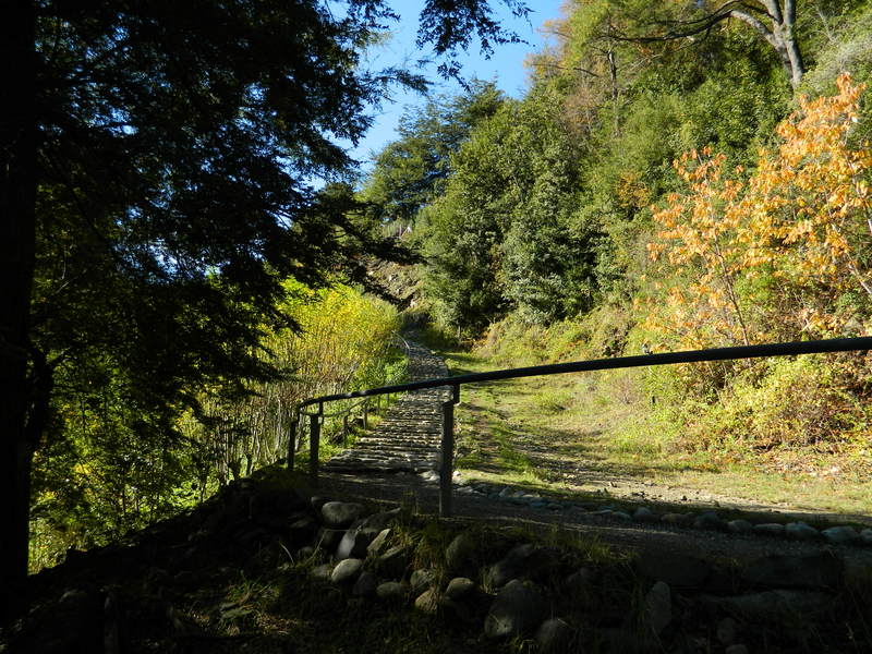 Foto: Pucon - Pucon (Araucanía), Chile