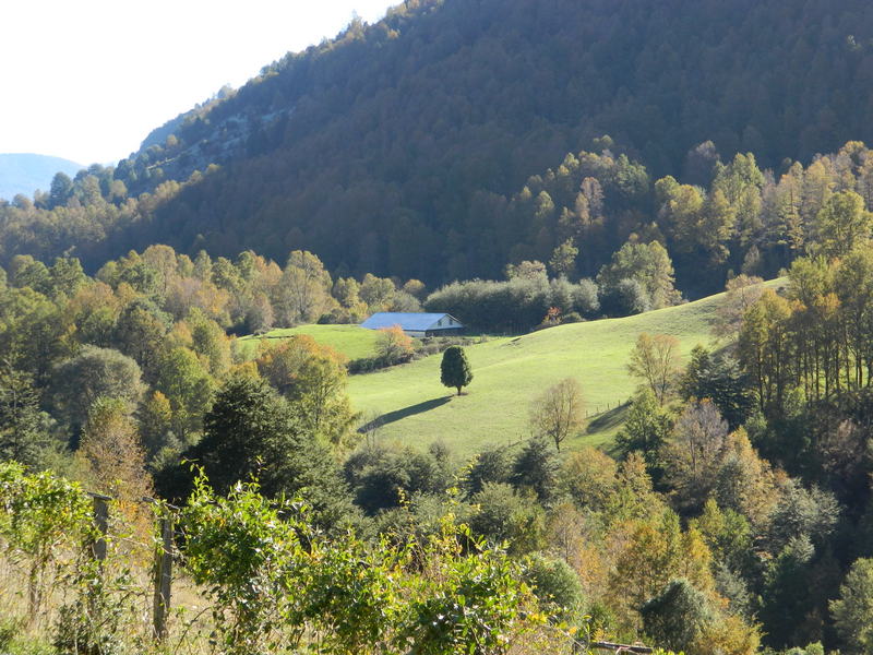 Foto: Pucon - Pucon (Araucanía), Chile