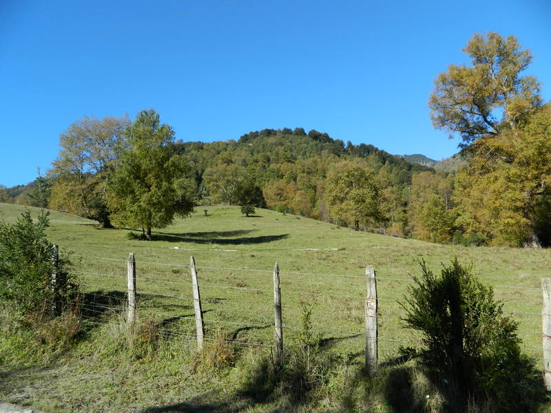 Foto: Pucon - Pucon (Araucanía), Chile
