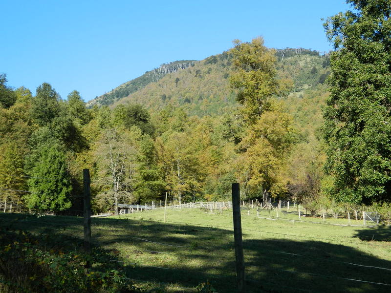 Foto: Pucon - Pucon (Araucanía), Chile