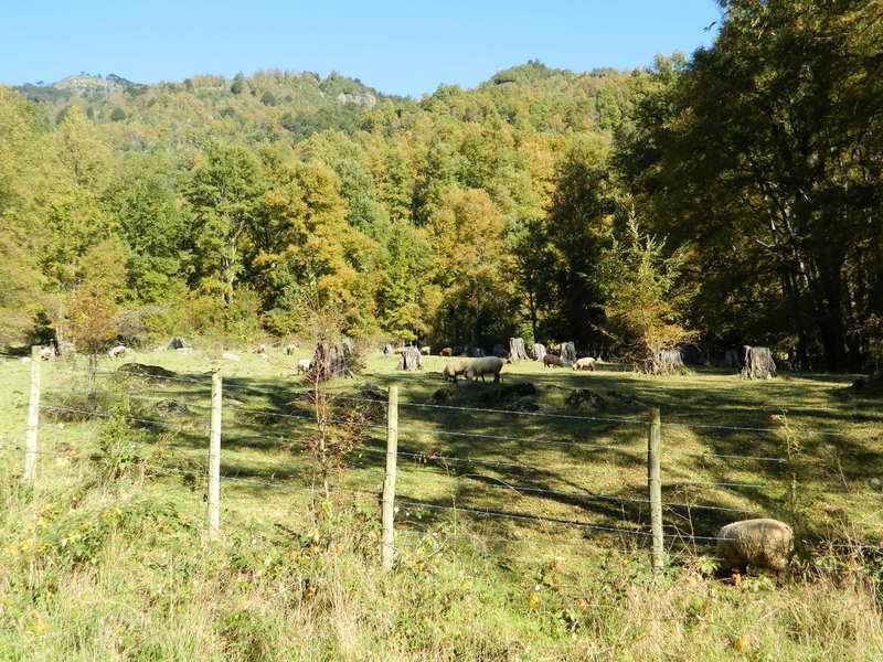 Foto: Pucon - Pucon (Araucanía), Chile