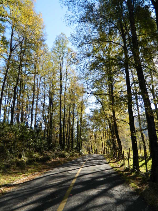 Foto: Pucon - Pucon (Araucanía), Chile