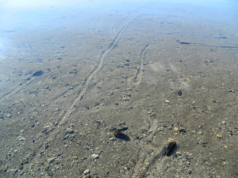 Foto: Pucon - Pucon (Araucanía), Chile