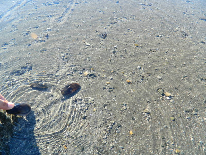 Foto: Pucon - Pucon (Araucanía), Chile