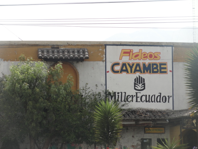Foto: Logotio - Cayambe (Pichincha), Ecuador