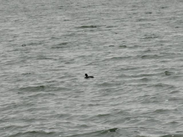 Foto: Lago San Pablo - Otavalo (Imbabura), Ecuador