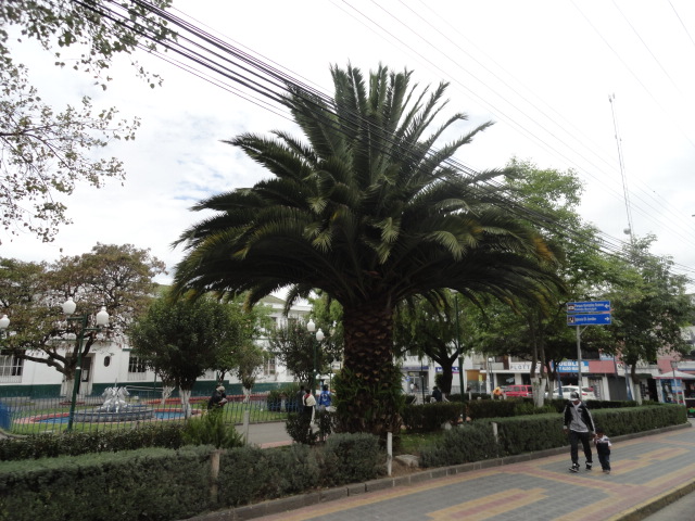 Foto: Parque - Otavalo (Imbabura), Ecuador