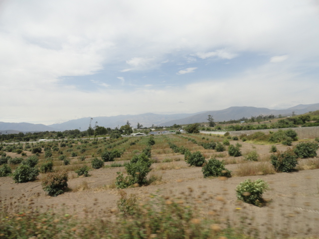 Foto: Paisaje - Chaltura (Imbabura), Ecuador