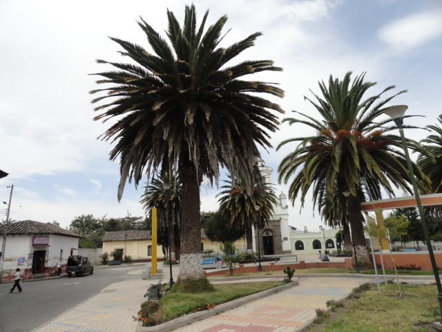 Foto: Parque - Chaltura (Imbabura), Ecuador