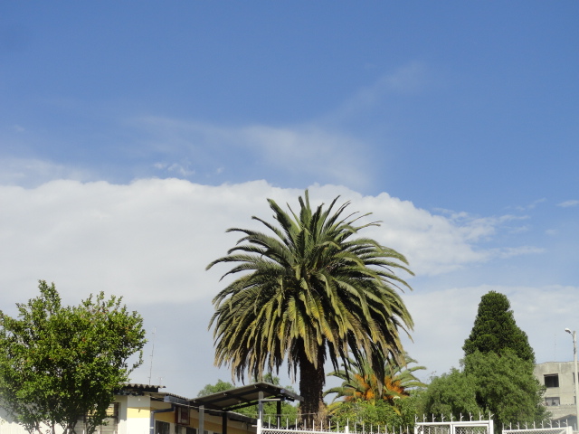 Foto: Paisaje - Atuntaqui (Imbabura), Ecuador