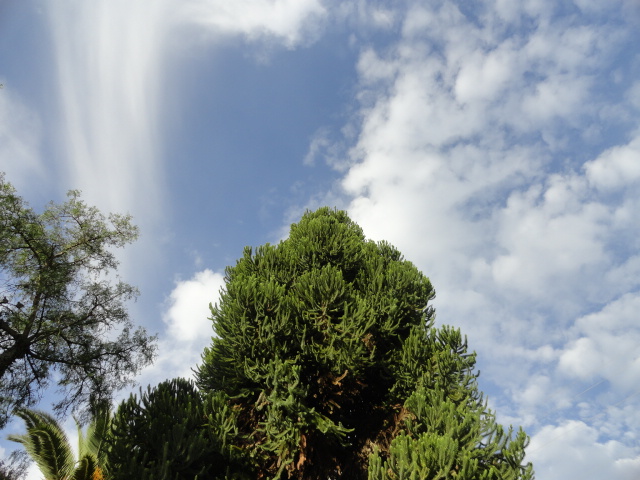 Foto: Cielo Azul - Atuntaqui (Imbabura), Ecuador