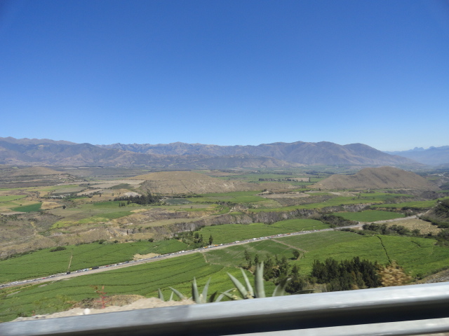 Foto: Hoya del Chota - Ibarra (Imbabura), Ecuador