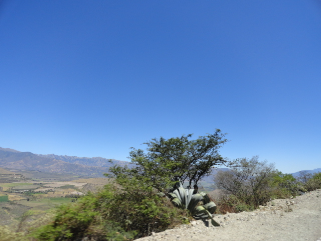 Foto: Hoya del Chota - Ibarra (Imbabura), Ecuador