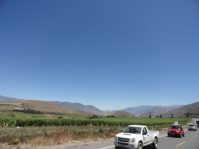 Foto: Hoya del Chota - Ibarra (Imbabura), Ecuador