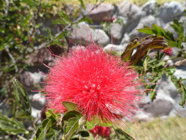 Foto: Hacienda Chachimbiro - Ibarra (Imbabura), Ecuador