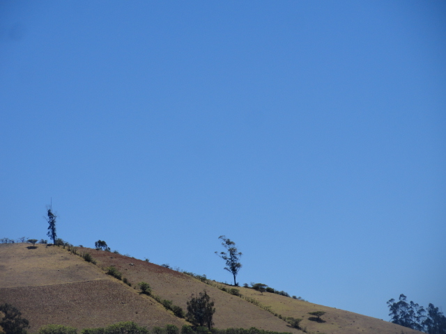 Foto: Hacienda Chachimbiro - Ibarra (Imbabura), Ecuador