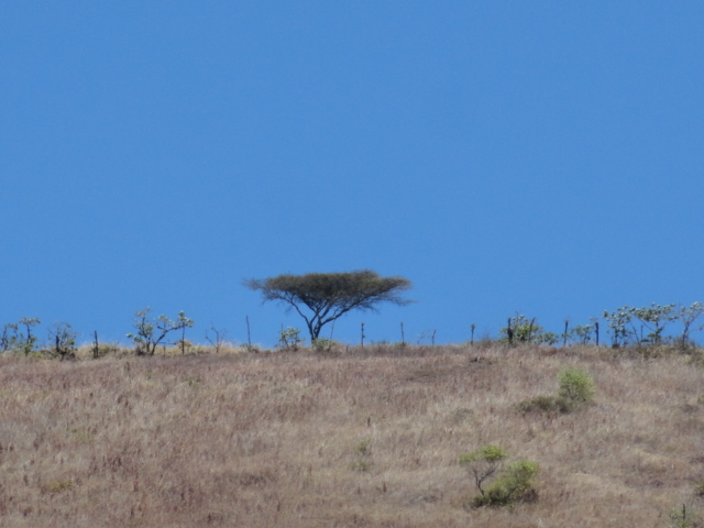 Foto: Hacienda Chachimbiro - Ibarra (Imbabura), Ecuador