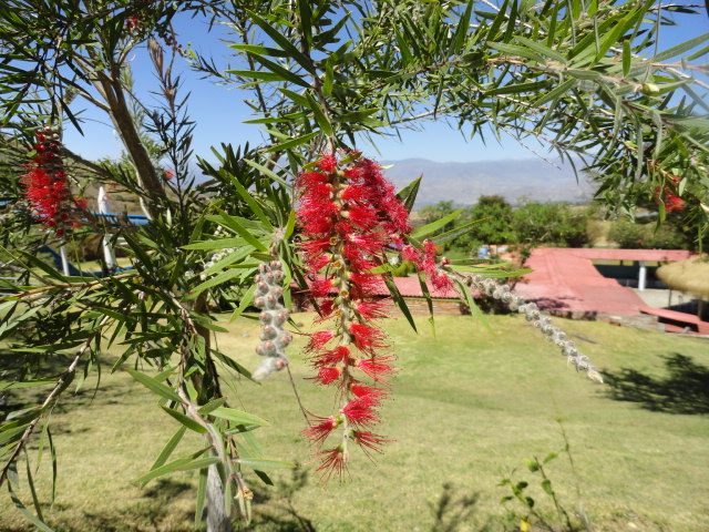 Foto: Hacienda Chachimbiro - Ibarra (Imbabura), Ecuador