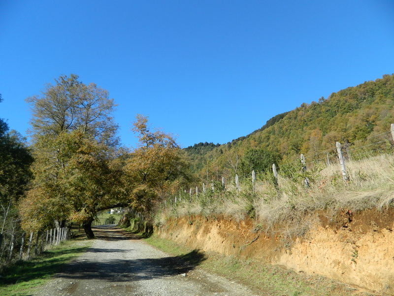 Foto: Pucon - Pucon (Araucanía), Chile