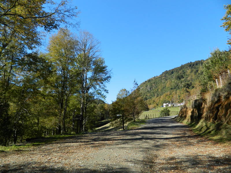 Foto: Pucon - Pucon (Araucanía), Chile