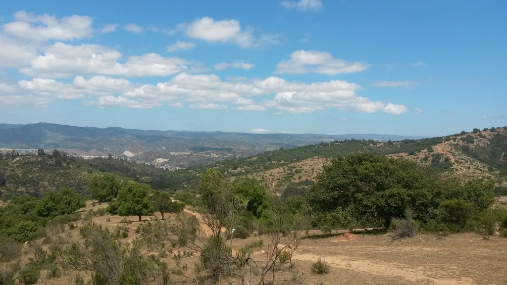 Foto: Quilpue - Quilpue (Valparaíso), Chile