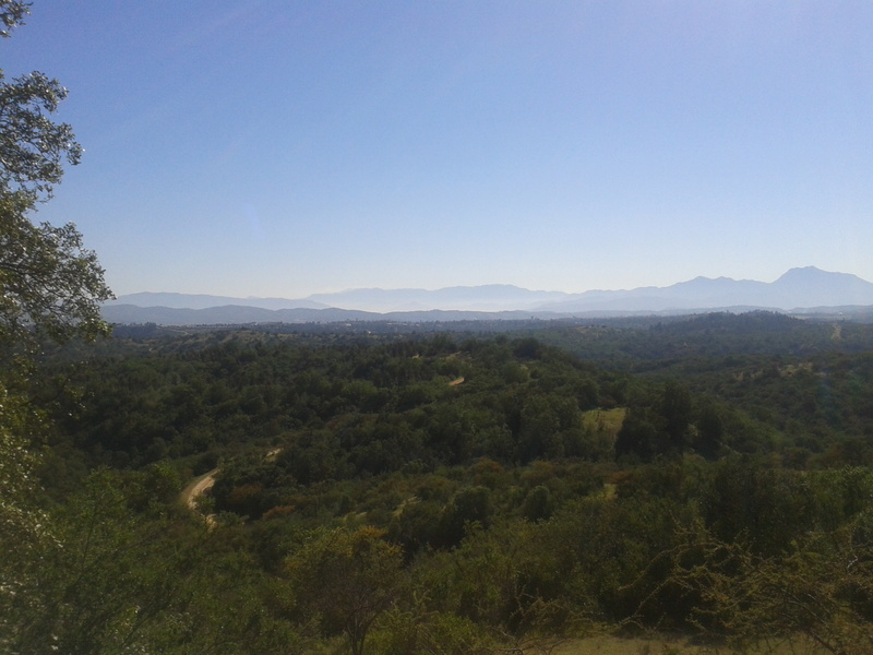 Foto: Quilpue - Quilpue (Valparaíso), Chile