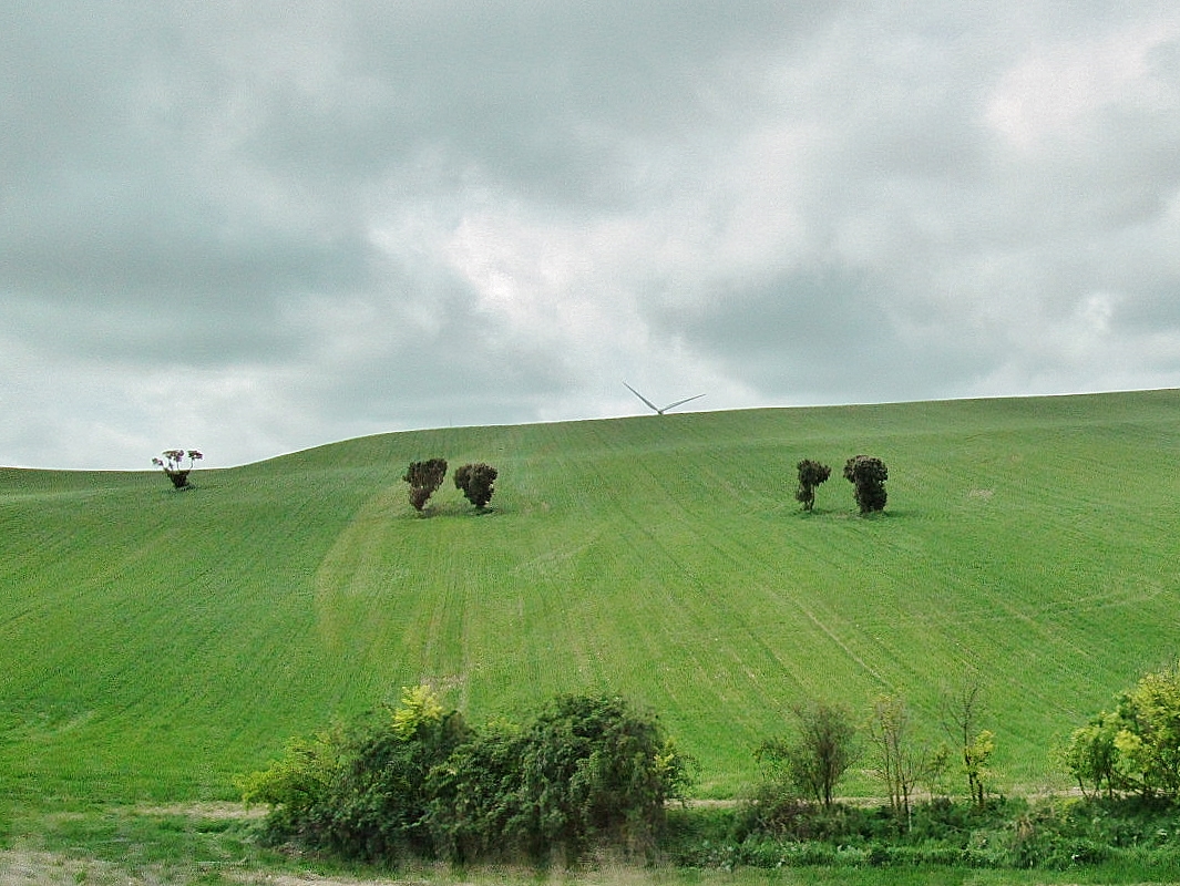 Foto: Vistas desde el pueblo - Castrojeriz (Burgos), España